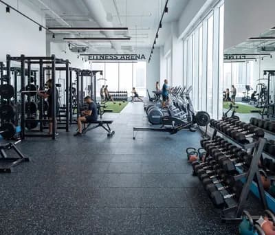 Cardio machines in a fitness center