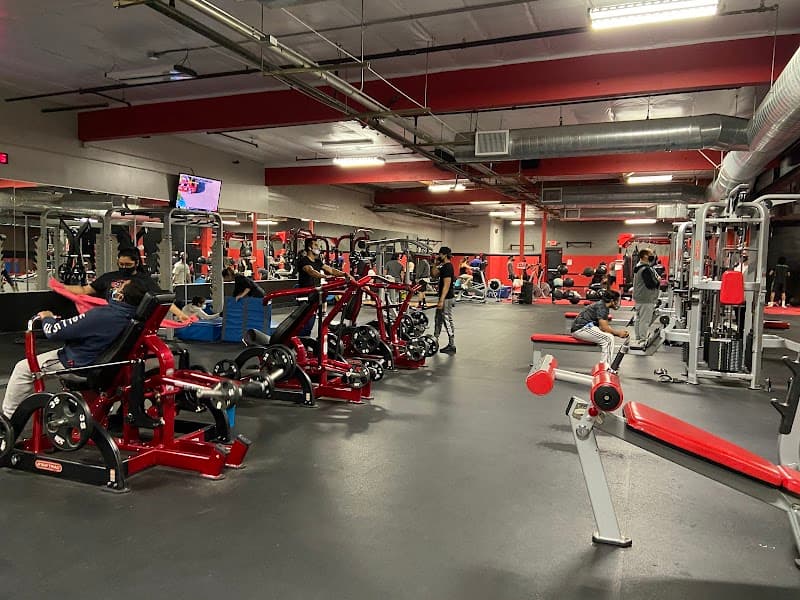UFC GYM Sunnyvale