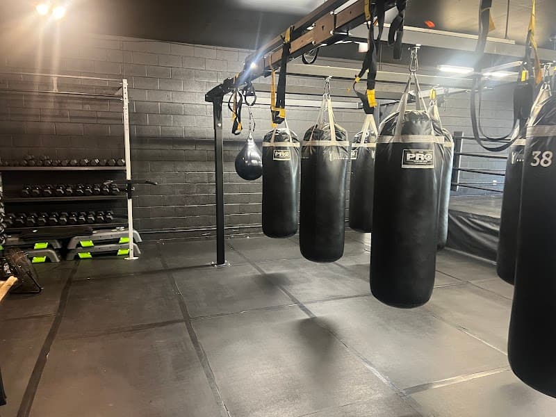 Los Gatos Boxing