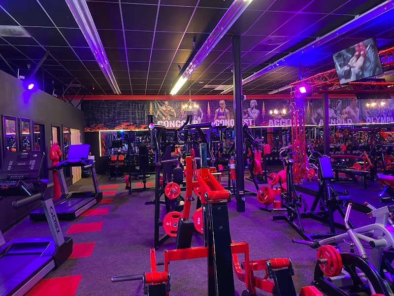 ARMOR GYM