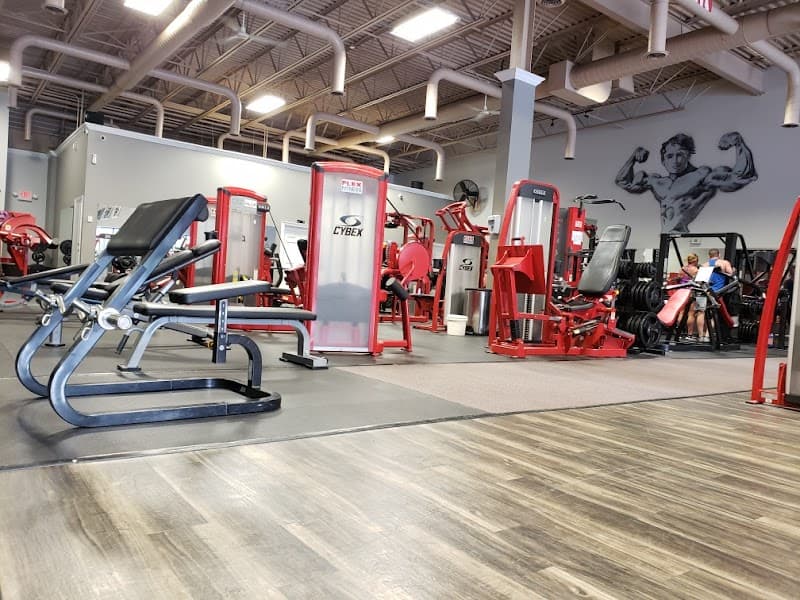 Flex Fitness