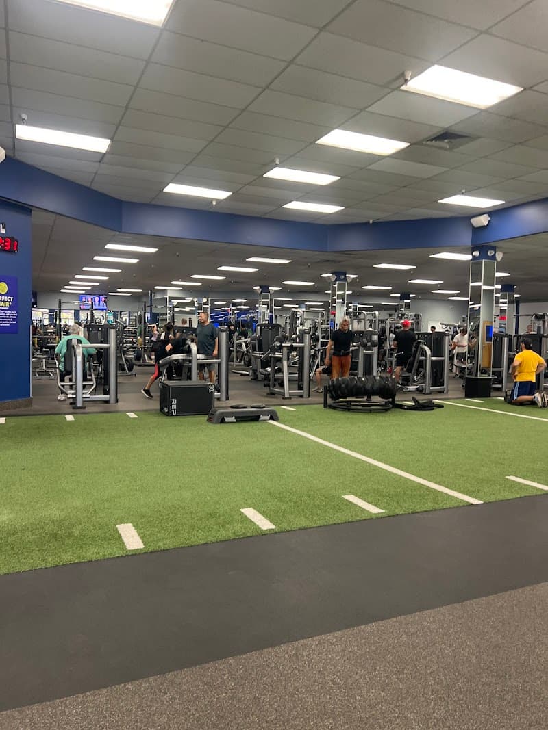 Fitness 19