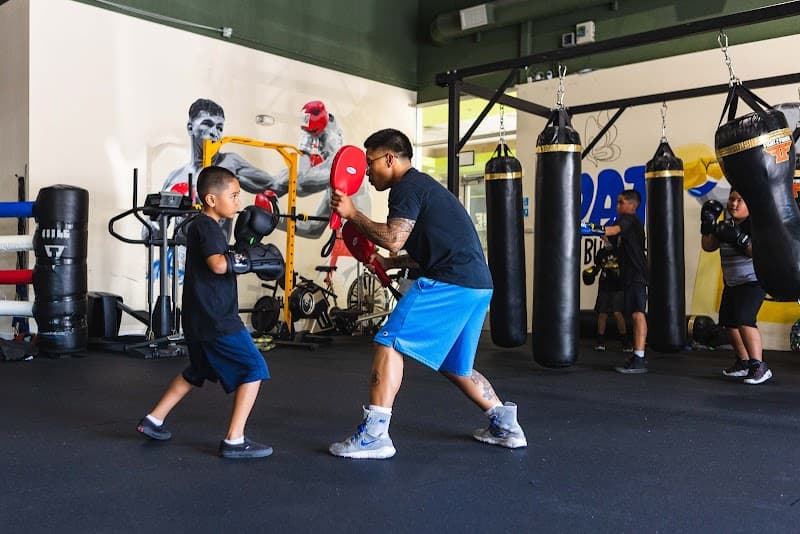 Milpitas Boxing & Fitness