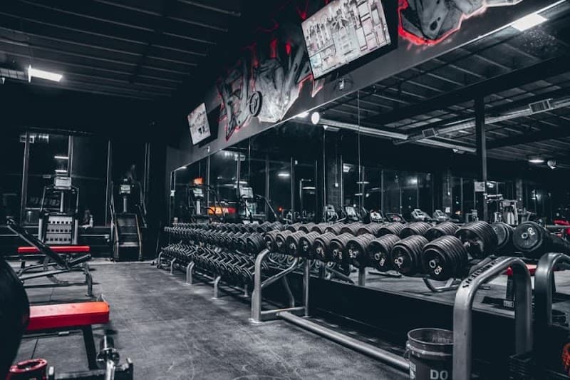 Flex Fitness Gym