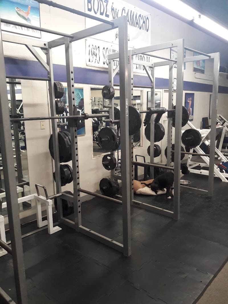 Muscle House Gym